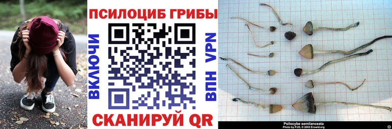 Псилоцибиновые грибы Psilocybine cubensis  MEGA вход  Зеленодольск 